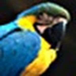 Meet your Posher, Jon